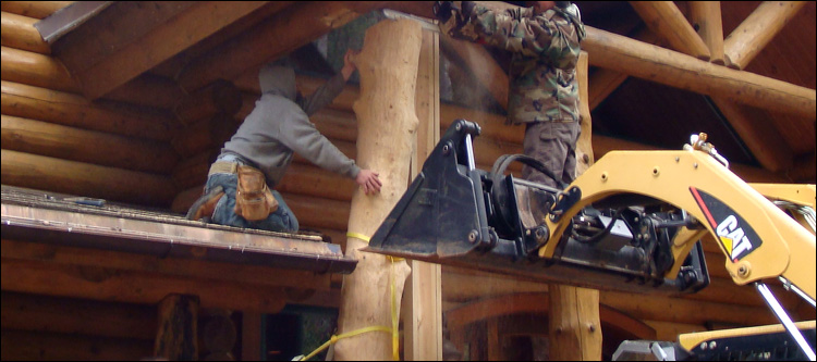 Log Home Log Replacement 